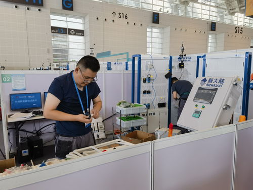 全国技能大赛新职业荟萃，网络技术服务引领未来就业新风向